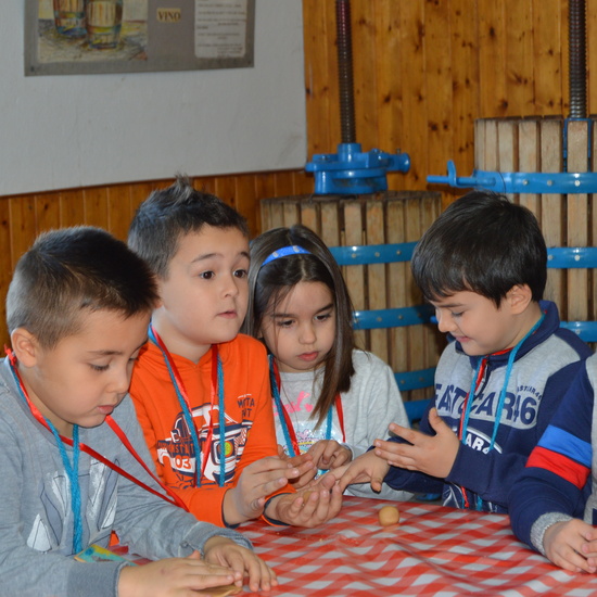 GRANJA ESCUELA ALBITANA 2018 5