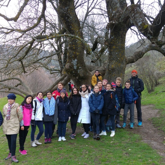Jornadas Culturales y Deportivas 2018: SENDERISMO 1º ESO 21