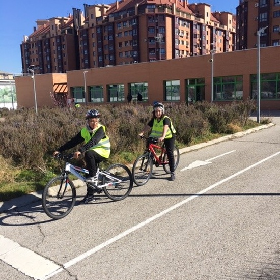 EDUCACIÓN VIAL. 6º 19