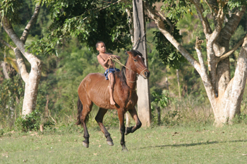 Niño montando a caballo, Quilombo, Sao Paulo, Brasil