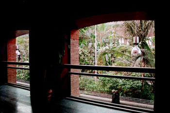 Vista del jardín tropical de la estación de Atocha, Madrid