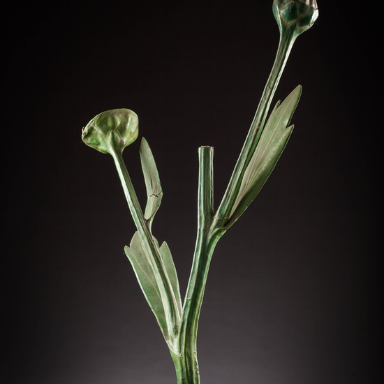 IES_SANISIDRO_MUSEO_Botanica_020