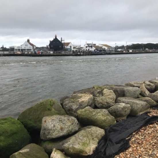 Inglaterra Curso 2019-2020 29