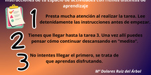 INSTRUCCIONES TAREA 5 CANVA