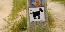 Camino de Santiago 18