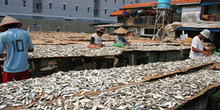 Trabajando en el secadero, Jakarta