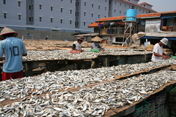Trabajando en el secadero, Jakarta