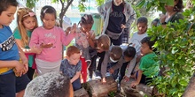 Visita Huerto Escolar. 5 años.