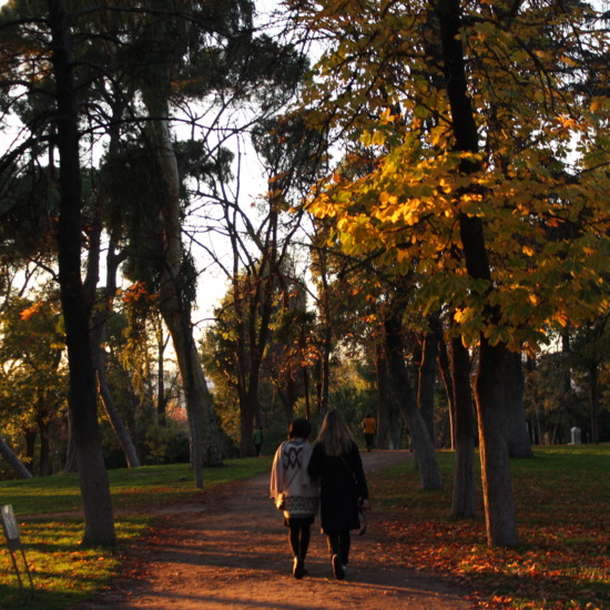 Jorge Crisóstomo STI2M concurso fotografía Satafi foto 2