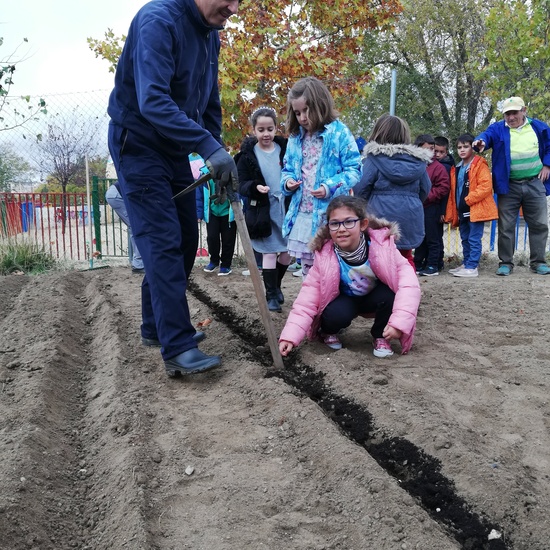 Huerto escolar 2019/20 45