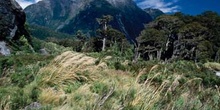 Parque nacional de Fiorland, Nueva Zelanda