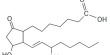Prostaglandina