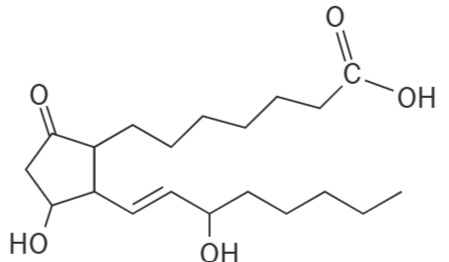 Prostaglandina