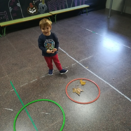 Día 05 de noviembre 17