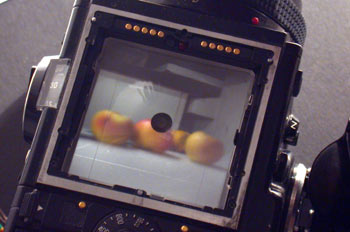 Visor de una cámara fotográfica