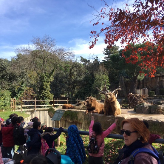 Excursión al zoo 5 años, 1º y 2º Luis Bello 20