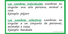 P1_LG Nombres individuales y colectivos