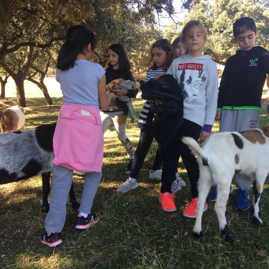 Mohernando 2017_3 40