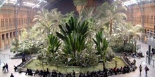 Jardines en la estación de Atocha, Madrid