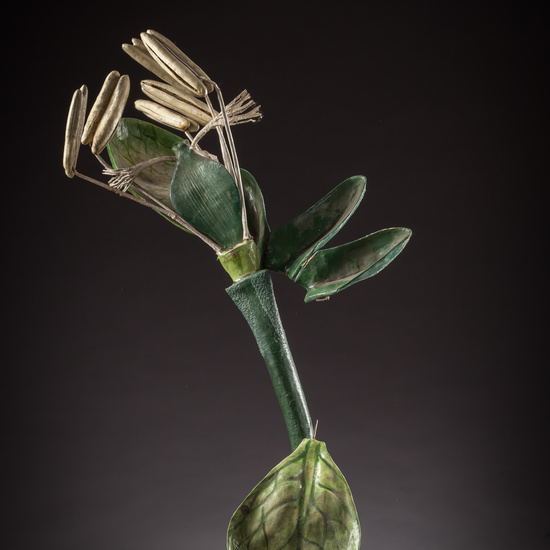 IES_ISABELLACATOLICA_BIOLOGIA_119