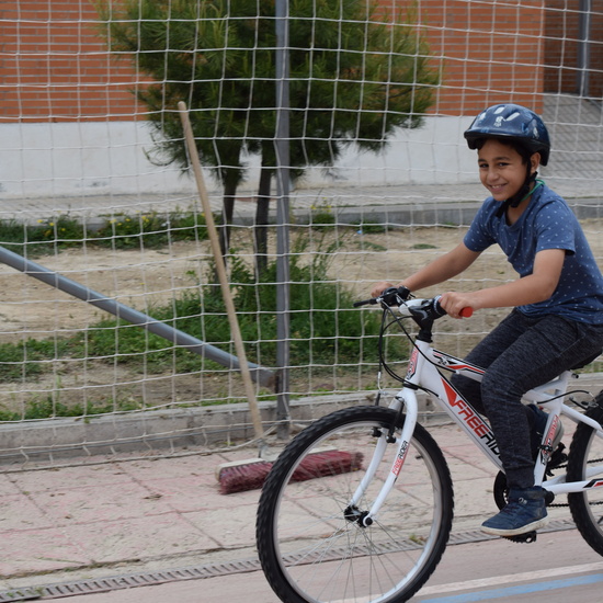 Educación Vial 3º primaria 29