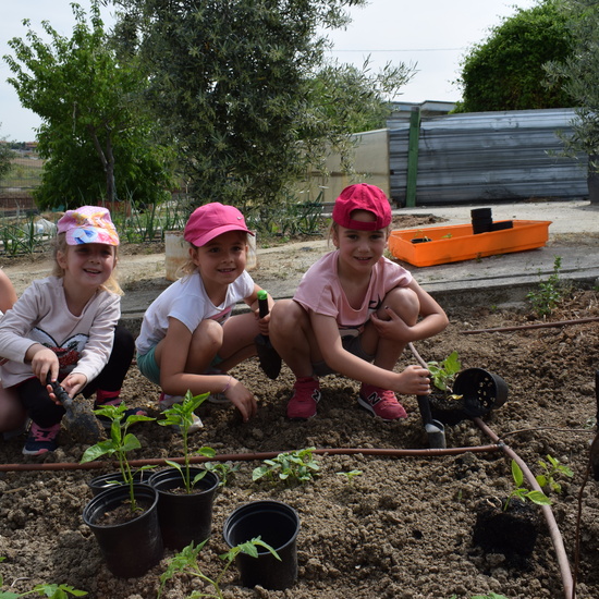 Siembra Huerta Balta 1 5 años 2018 10