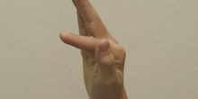 Lenguaje gestual, F