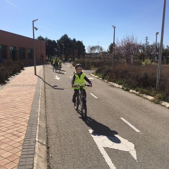 EDUCACIÓN VIAL. 6º 13