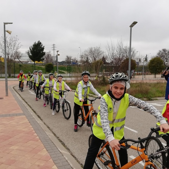 Educación Vial. 6º 5