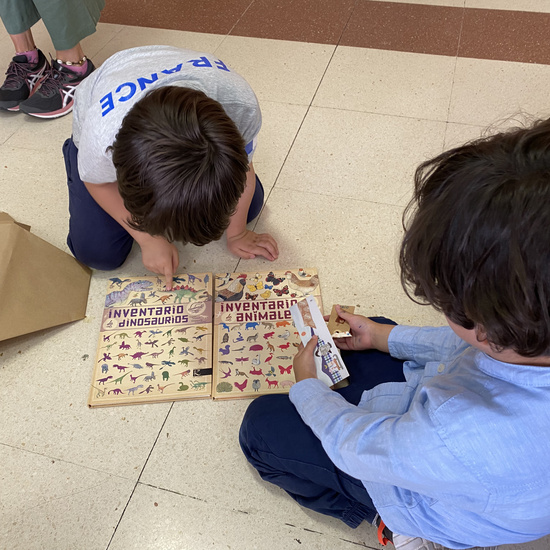 Regalo AFA - Infantil 5 Años 20