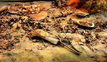 Escenografía de la Recolección