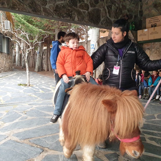 Excursión a la granja (Infantil) 31