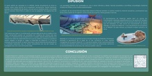Póster El legado bajo las olas: Rescatando nuestra historia. Investigación para la recuperación, conservación y difusión del pecio Mazarrón II