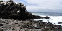 Litoral rocoso de la Isla Española, Ecuador