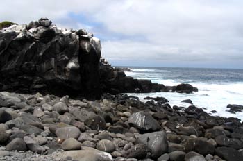 Litoral rocoso de la Isla Española, Ecuador
