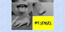 MY SENSES