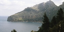 Cala boscosa, Mallorca