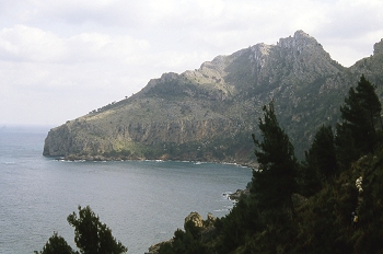 Cala boscosa, Mallorca