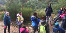 Excursión de tres días a Cercedilla 5º y 6º 19