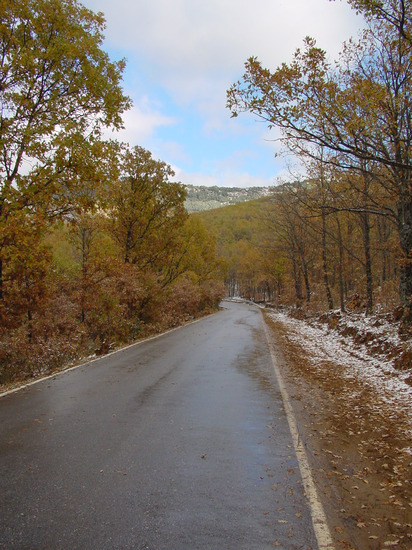 Paisaje nevado en Montejo de la Sierra