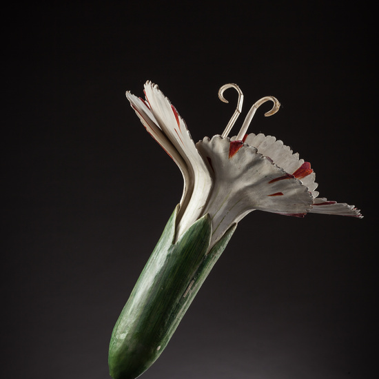 IES_ISABELLACATOLICA_BIOLOGIA_062