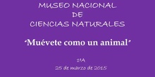 Museo Ciencias Naturales 1ºA
