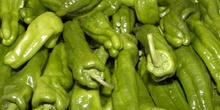 Pimiento verde