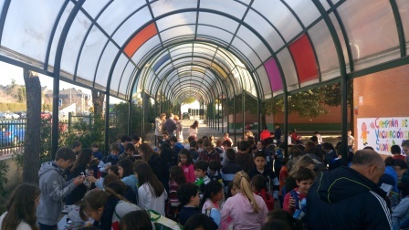 2018_01_30_MERCADILLO DIA DE LA PAZ 23