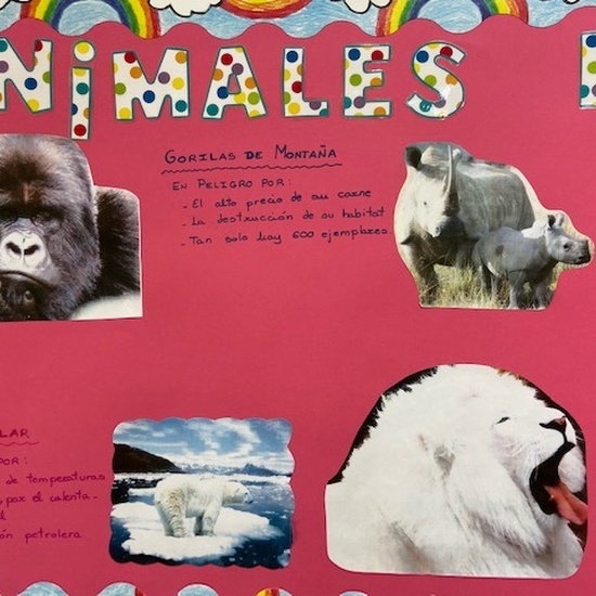 Proyecto animales en extinción 7