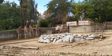 Visita al zoo 2019 20