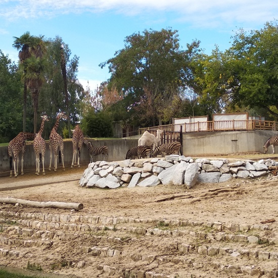 Visita al zoo 2019 20