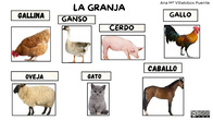 Vocabulario e imágenes de animales. 