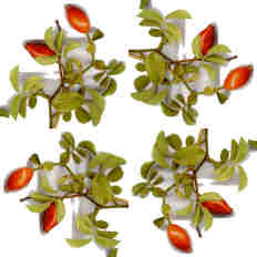 Simetría de detalle en cuadro