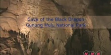 Cave of the Black Dragon: Gunung Mulu National Park: UNESCO Culture Sector